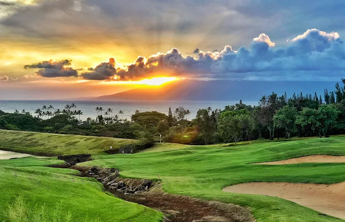 Kapalua Golf - The Plantation Course